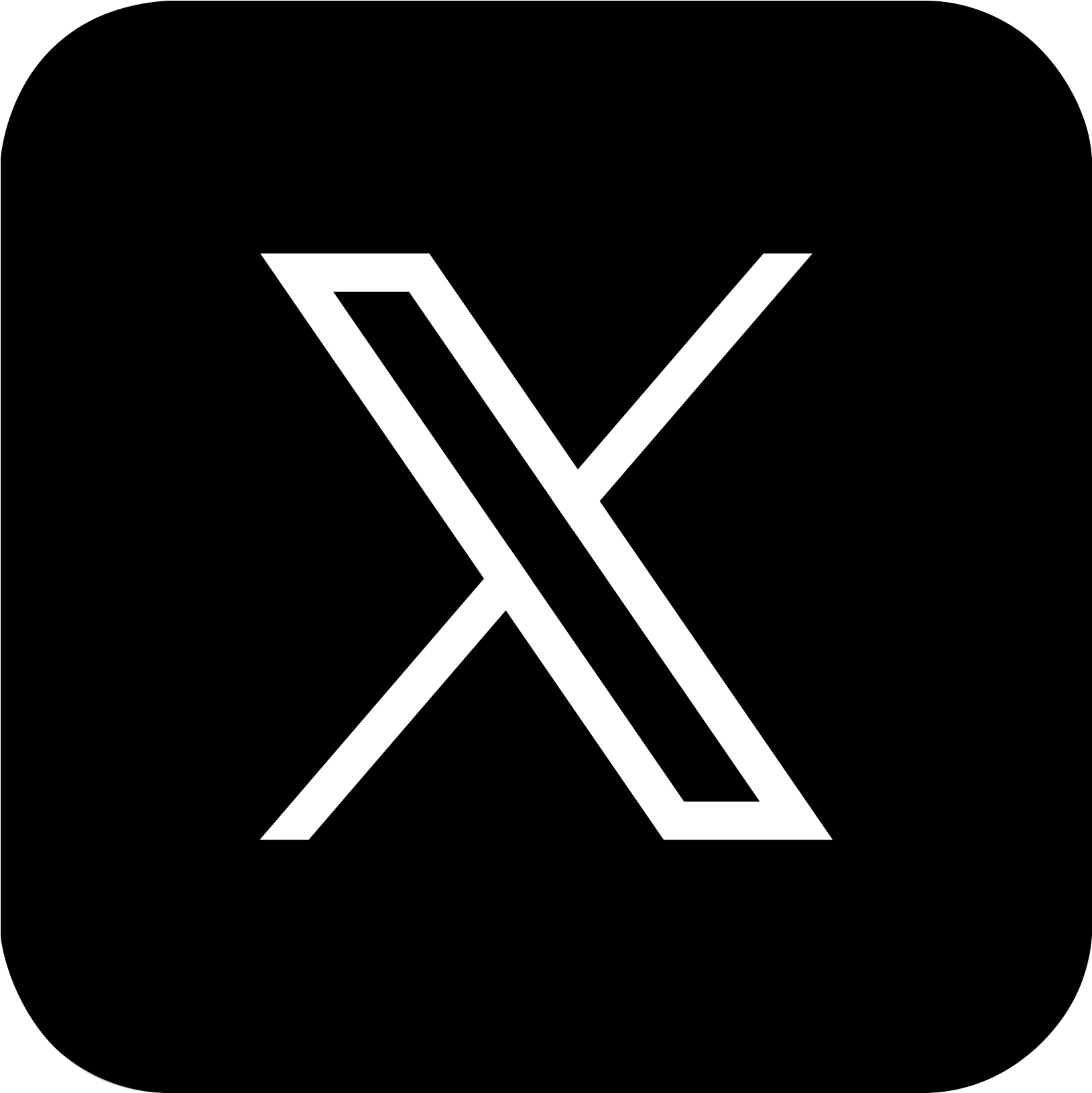 x-icon